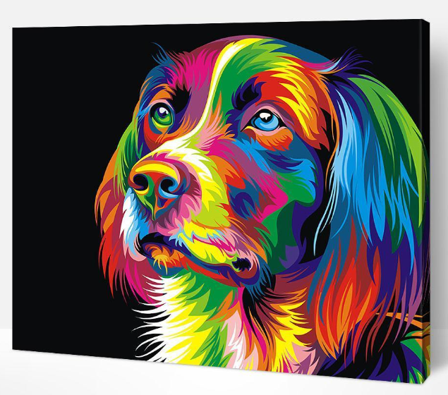 Chien MultiColor